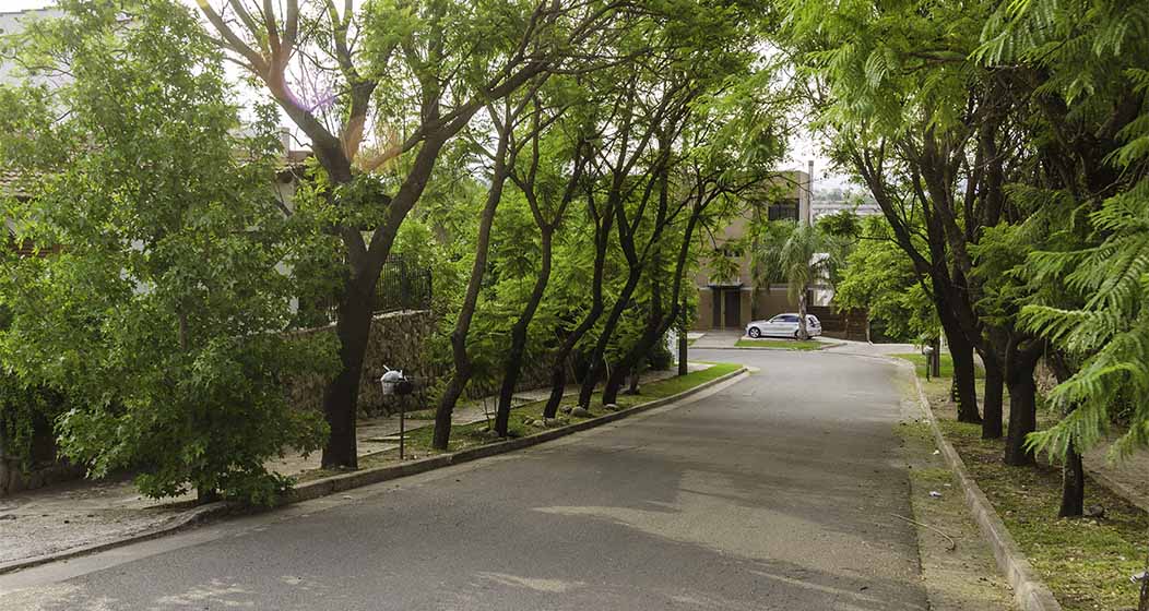 Cerro de las Rosas